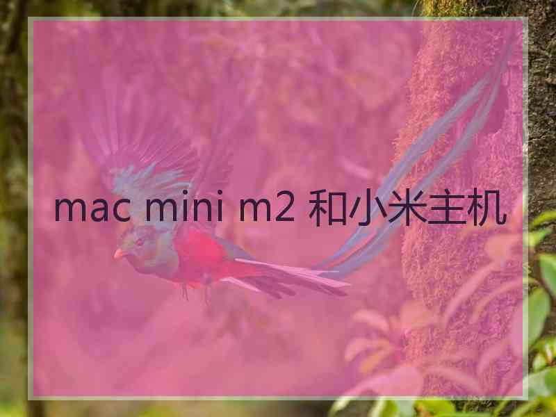 mac mini m2 和小米主机