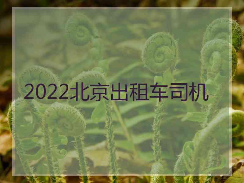 2022北京出租车司机