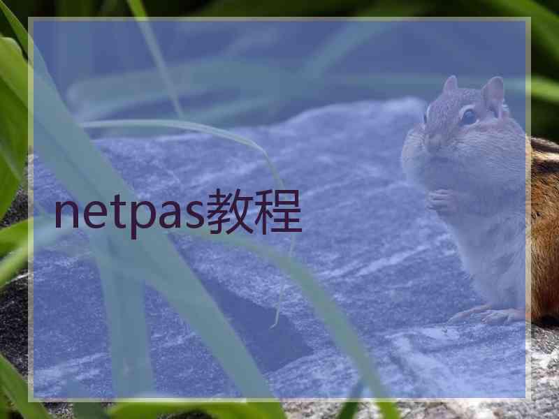 netpas教程