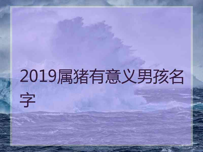 2019属猪有意义男孩名字