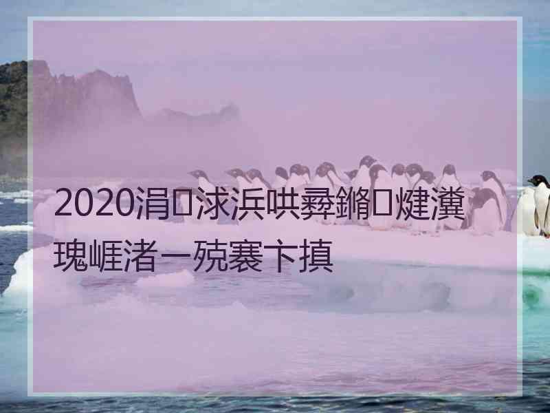 2020涓浗浜哄彛鏅煡瀵瑰崕渚ㄧ殑褰卞搷