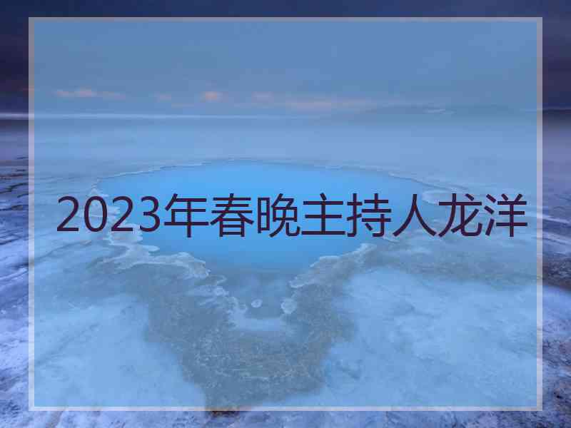 2023年春晚主持人龙洋