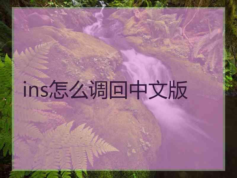 ins怎么调回中文版