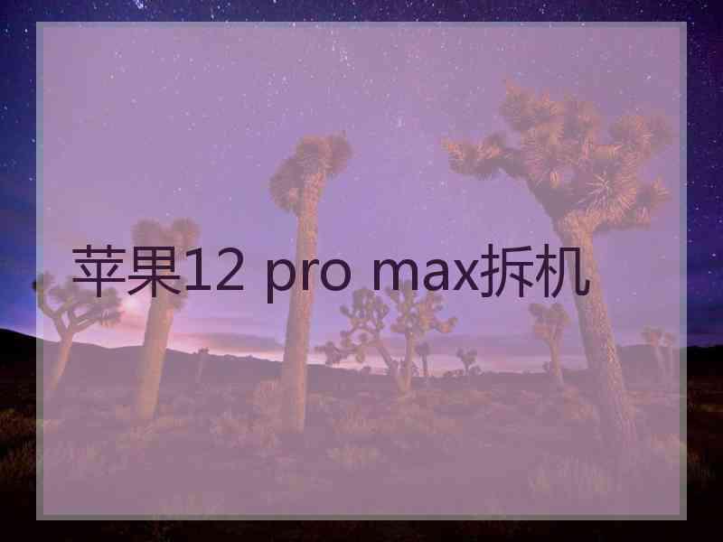 苹果12 pro max拆机