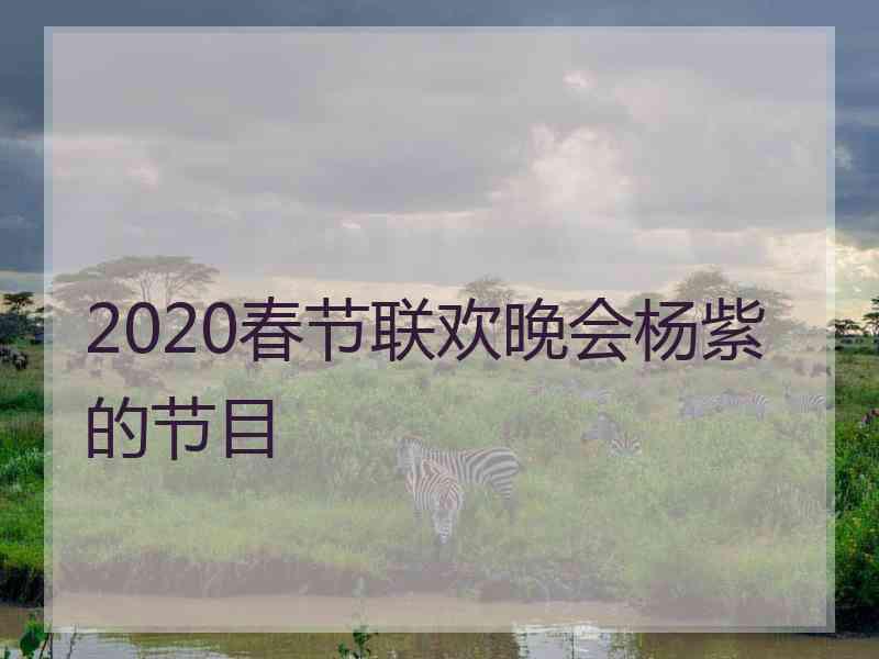 2020春节联欢晚会杨紫的节目