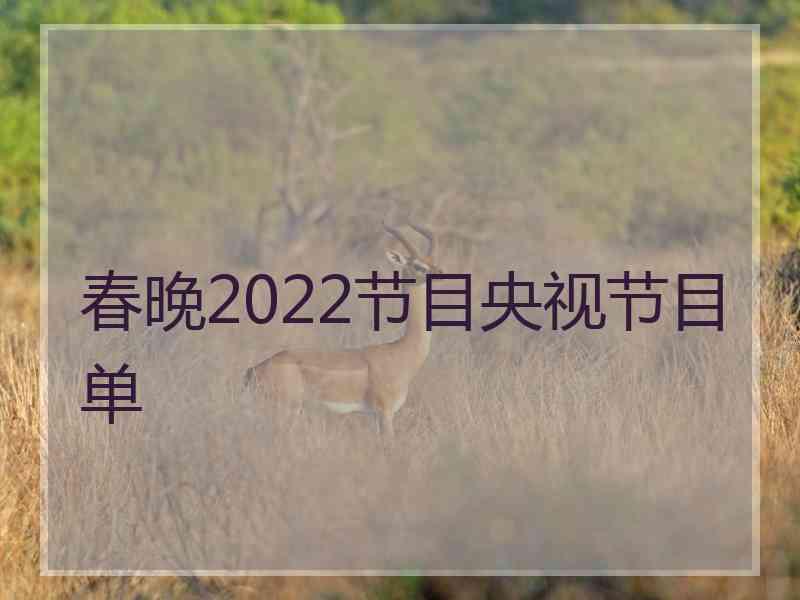 春晚2022节目央视节目单