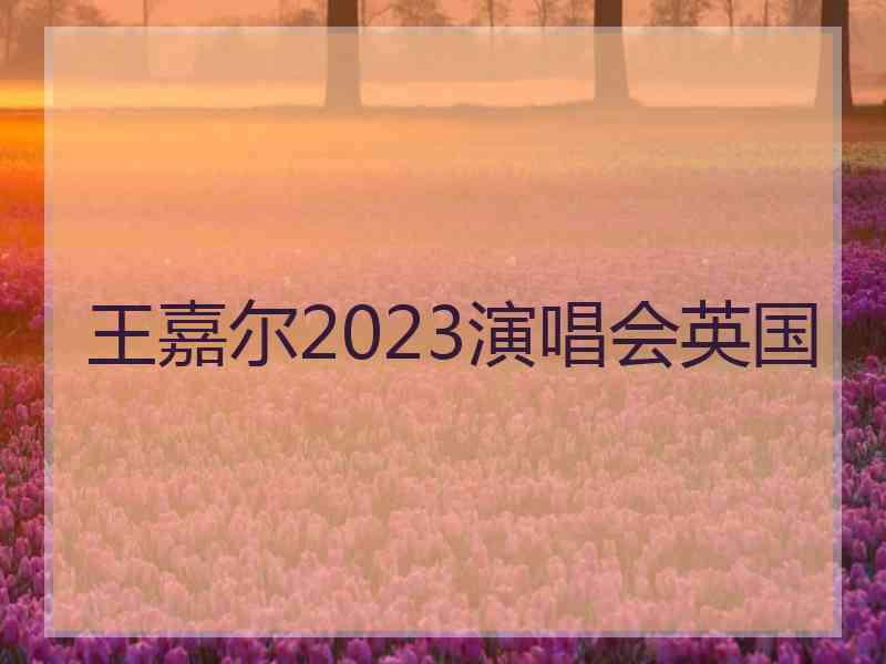 王嘉尔2023演唱会英国