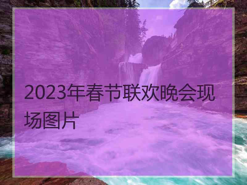 2023年春节联欢晚会现场图片