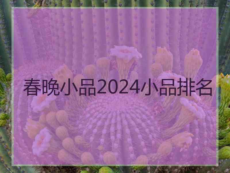 春晚小品2024小品排名