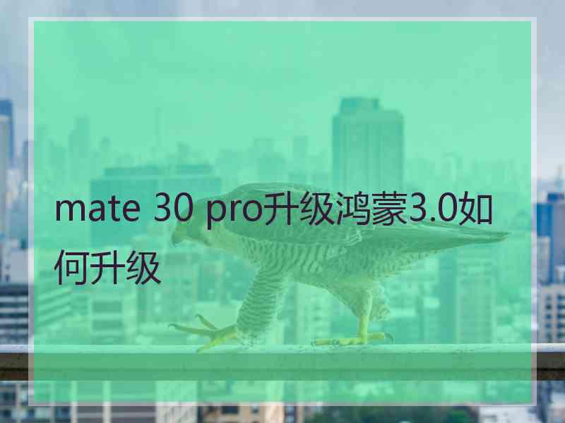 mate 30 pro升级鸿蒙3.0如何升级