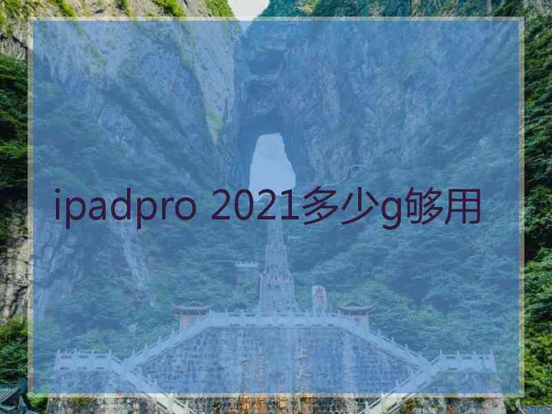 ipadpro 2021多少g够用