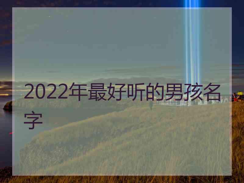 2022年最好听的男孩名字