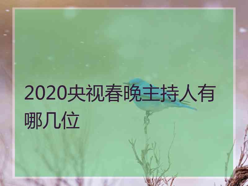 2020央视春晚主持人有哪几位