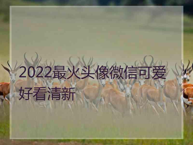 2022最火头像微信可爱好看清新