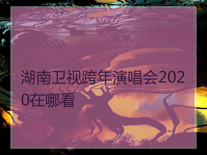 湖南卫视跨年演唱会2020在哪看