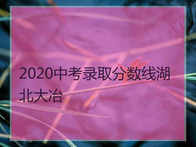 2020中考录取分数线湖北大冶