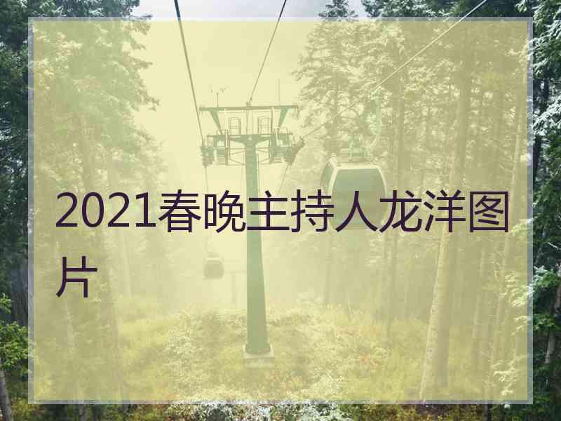 2021春晚主持人龙洋图片