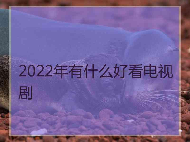 2022年有什么好看电视剧