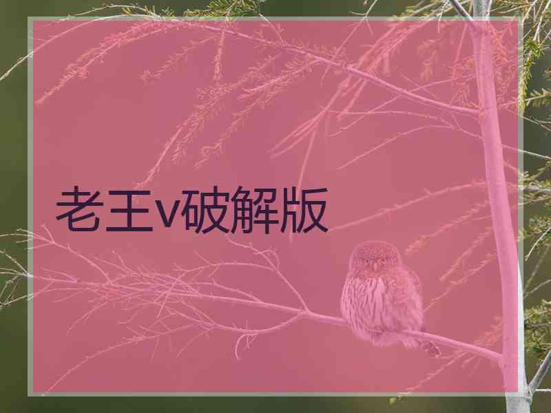 老王v破解版