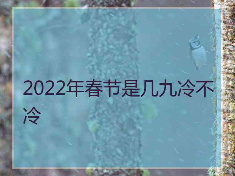 2022年春节是几九冷不冷