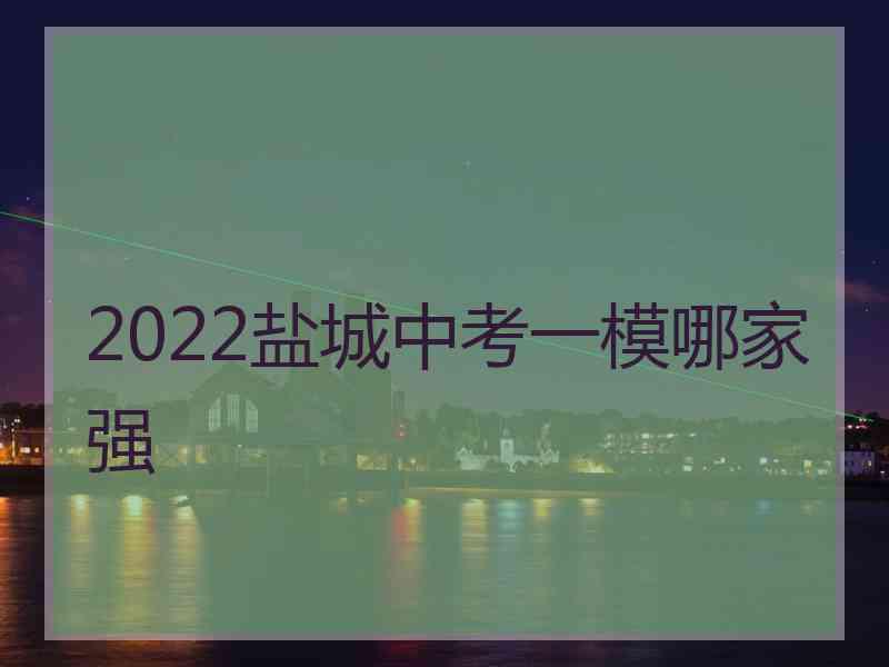 2022盐城中考一模哪家强