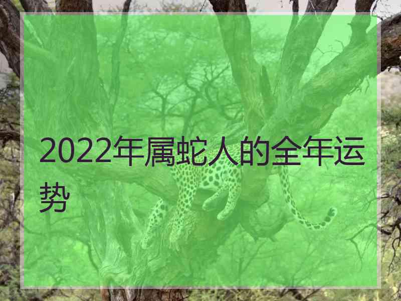 2022年属蛇人的全年运势