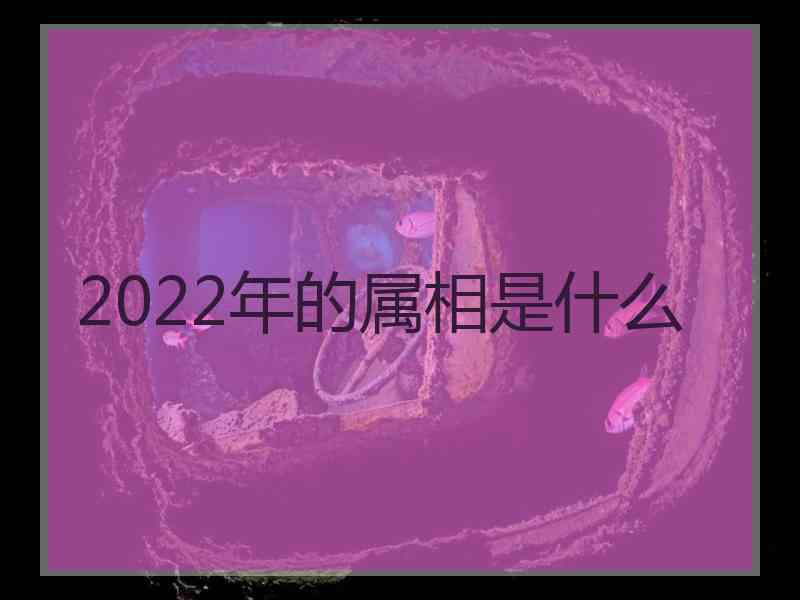 2022年的属相是什么