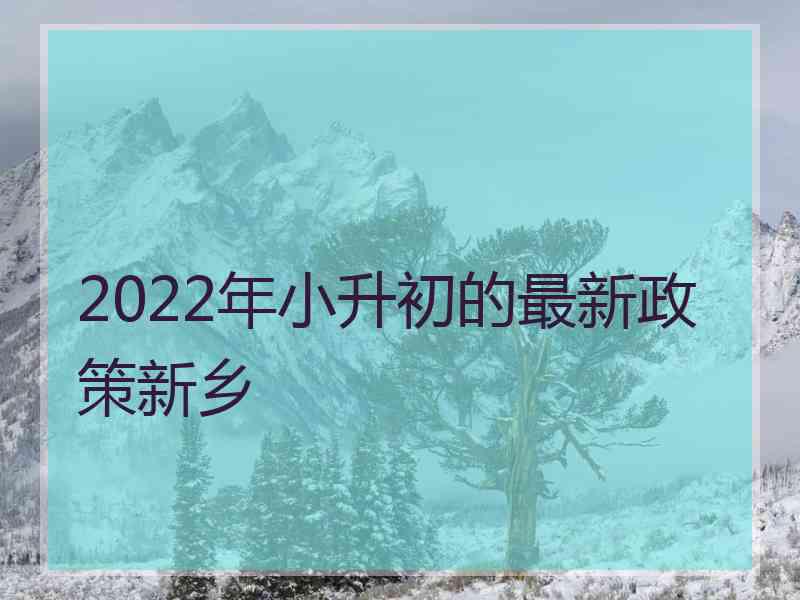 2022年小升初的最新政策新乡