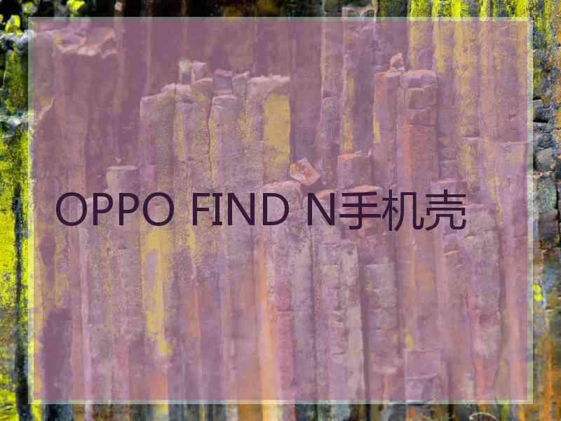 OPPO FIND N手机壳