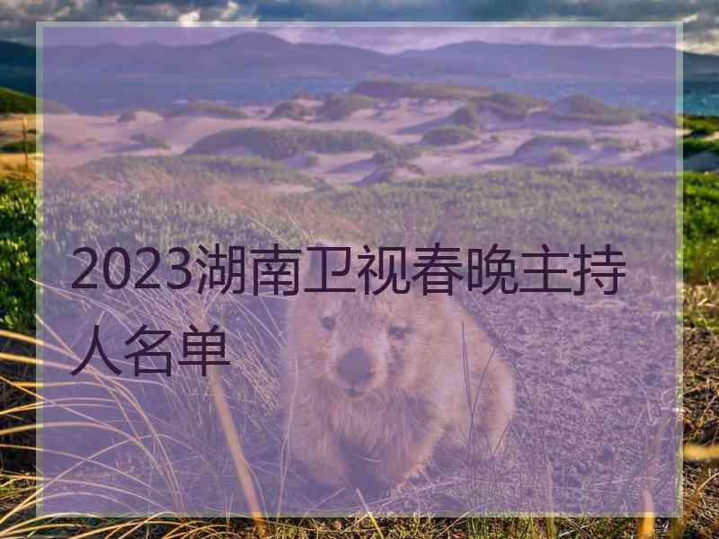 2023湖南卫视春晚主持人名单