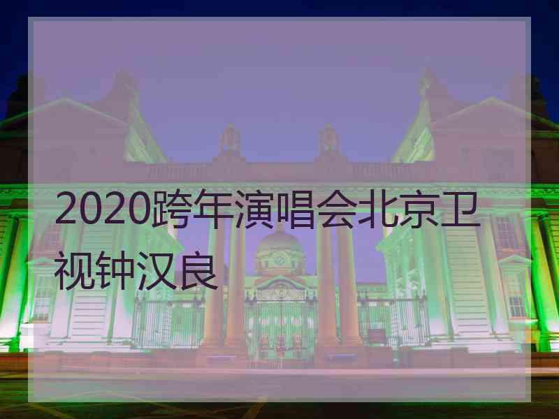 2020跨年演唱会北京卫视钟汉良