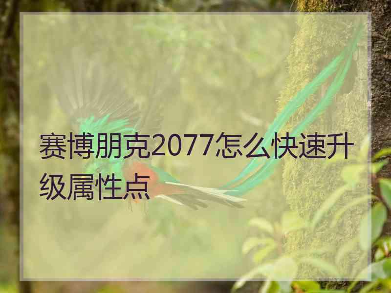 赛博朋克2077怎么快速升级属性点