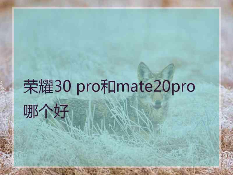 荣耀30 pro和mate20pro哪个好