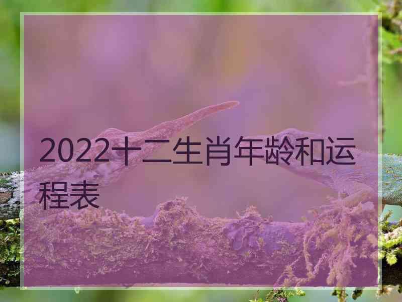 2022十二生肖年龄和运程表