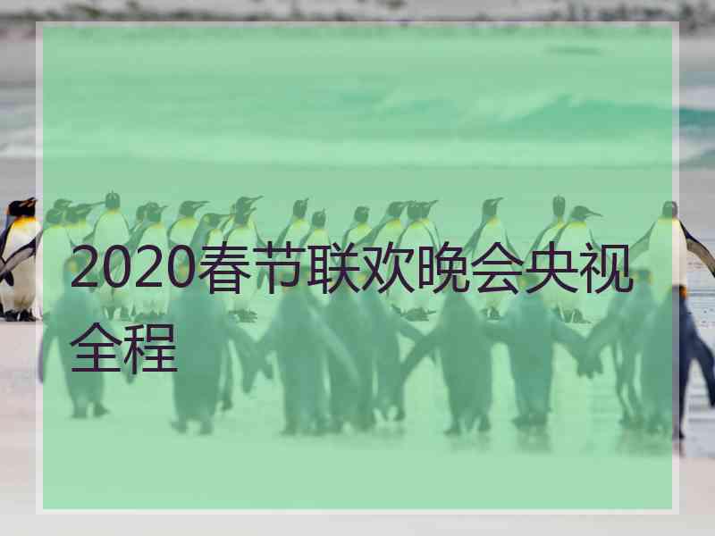 2020春节联欢晚会央视全程