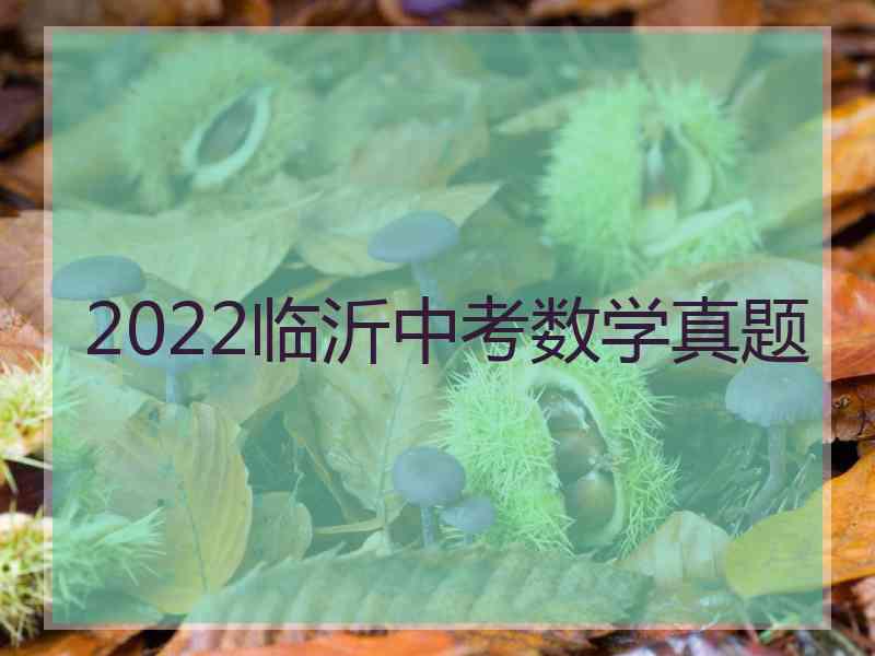 2022临沂中考数学真题