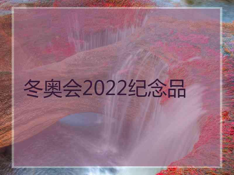 冬奥会2022纪念品