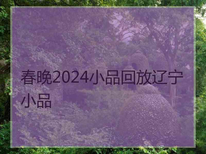 春晚2024小品回放辽宁小品