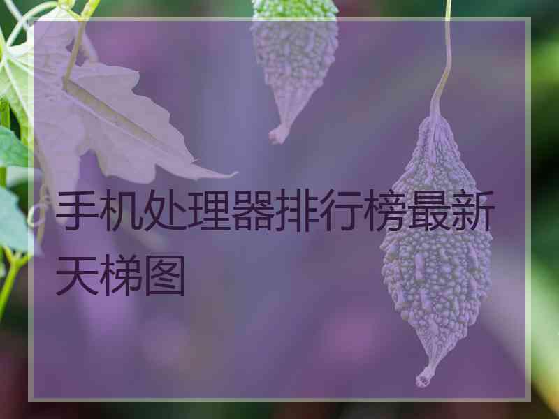 手机处理器排行榜最新天梯图