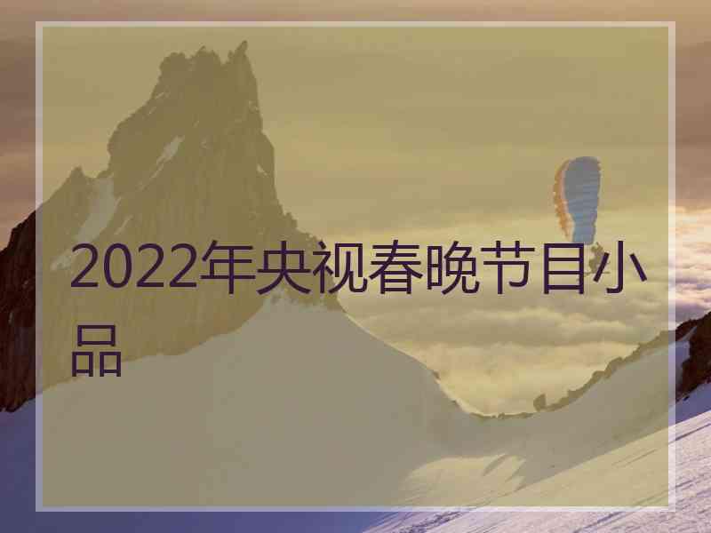 2022年央视春晚节目小品