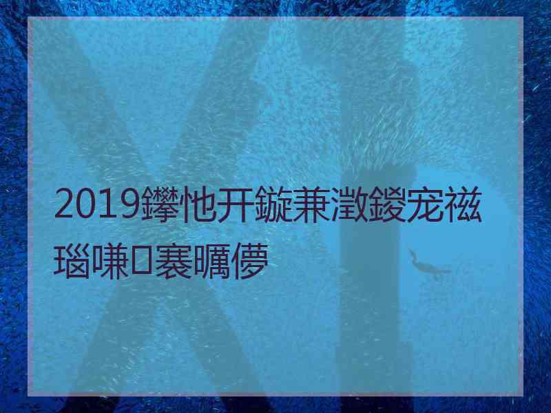 2019鑻忚开鏇兼澂鍐宠禌瑙嗛褰曞儚