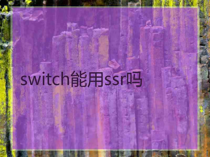 switch能用ssr吗