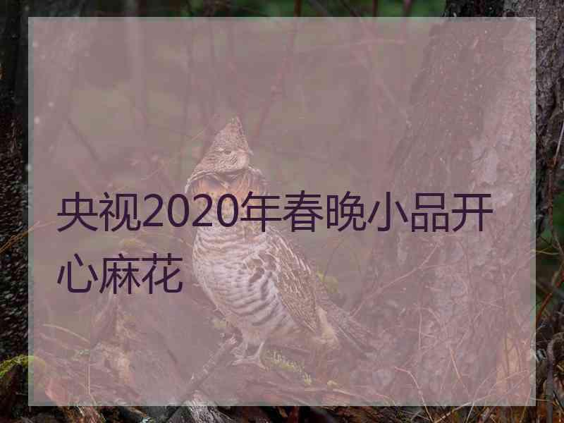 央视2020年春晚小品开心麻花