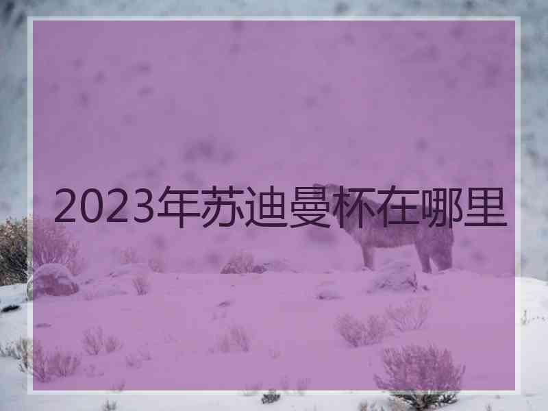 2023年苏迪曼杯在哪里