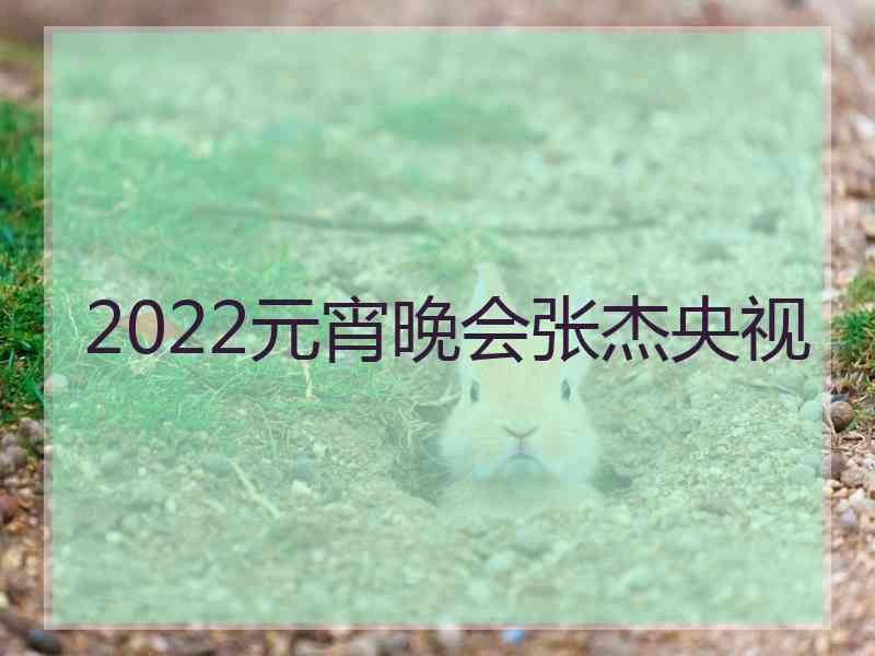 2022元宵晚会张杰央视