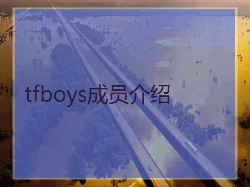 tfboys成员介绍