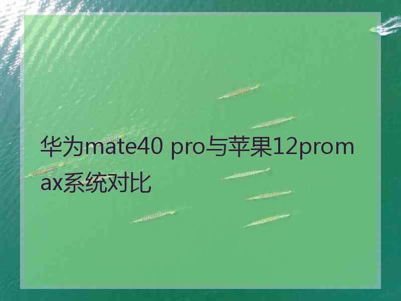 华为mate40 pro与苹果12promax系统对比