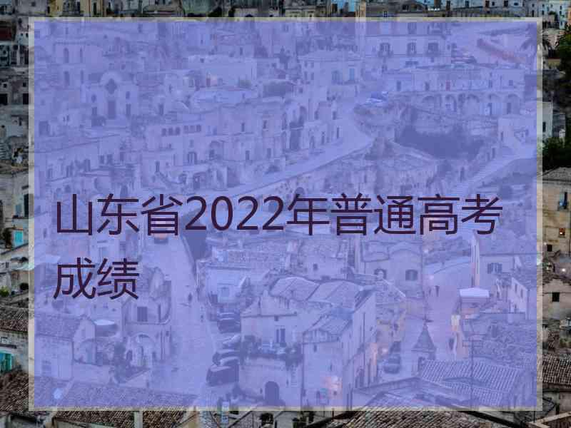 山东省2022年普通高考成绩