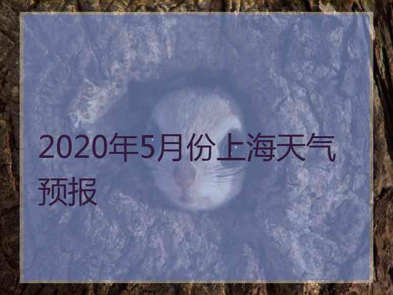 2020年5月份上海天气预报