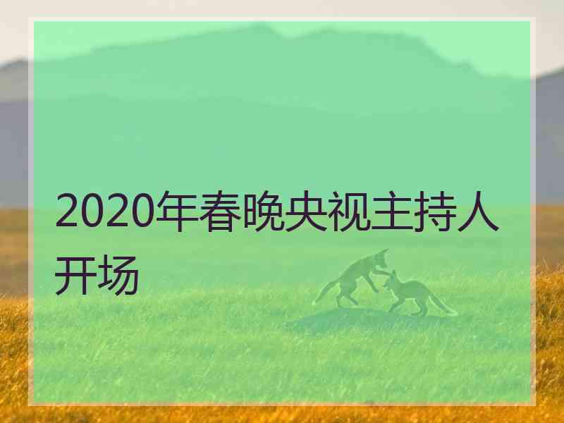 2020年春晚央视主持人开场